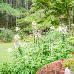 Photo #58 of 1553 Foxfire Lane, Bedford, VA 9.3 acres