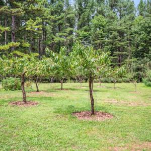 Photo #73 of 1553 Foxfire Lane, Bedford, VA 9.3 acres