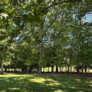 Photo #8 of 28 N Ridge Lane, Lynchburg, VA 1.1 acres