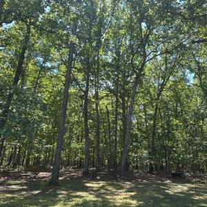 Photo #4 of 28 N Ridge Lane, Lynchburg, VA 1.1 acres