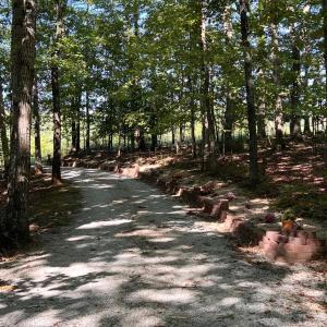 Photo #38 of 687 Partridge Creek Rd, Amherst, VA 5.0 acres
