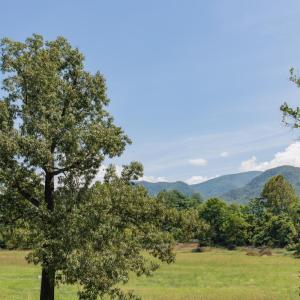 Photo #22 of 1421 Kelvin Grove, Glasgow, VA 0.3 acres