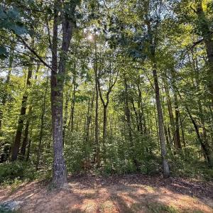 Photo #27 of 4820 Irish Road, Chatham, VA 23.0 acres
