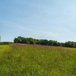 Photo #26 of 4820 Irish Road, Chatham, VA 23.0 acres