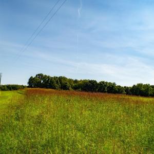 Photo #24 of 4820 Irish Road, Chatham, VA 23.0 acres