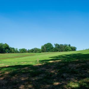Photo #20 of 4820 Irish Road, Chatham, VA 23.0 acres