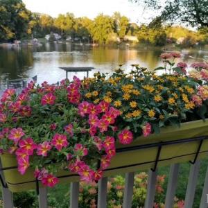 Photo #71 of 1740 Timberlake Drive, Lynchburg, VA 0.4 acres