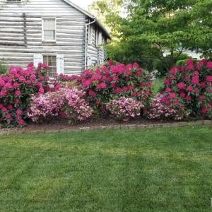 Photo #70 of 1740 Timberlake Drive, Lynchburg, VA 0.4 acres