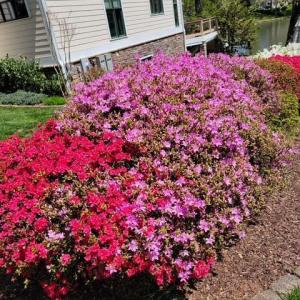 Photo #73 of 1740 Timberlake Drive, Lynchburg, VA 0.4 acres