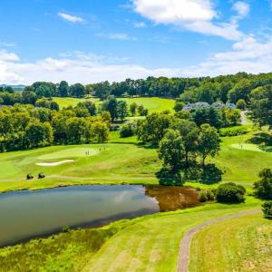 Photo #88 of 1184 Grandset Drive, Forest, VA 0.1 acres