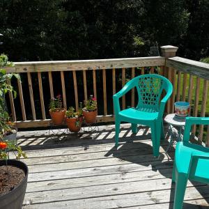 Photo #9 of 402 Goose Ridge Drive, Forest, VA 0.0 acres