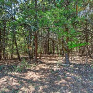 Photo #51 of 120 River Ridge Lane, Axton, VA 2.5 acres