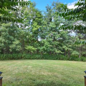 Photo #44 of 1394 Lejack, Forest, VA 0.5 acres