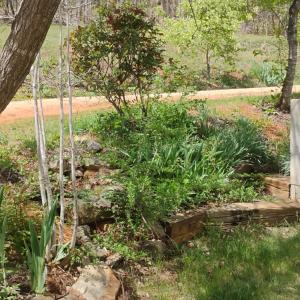 Photo #45 of 4183 TYE RIVER Road, Amherst, VA 14.3 acres