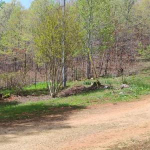 Photo #42 of 4183 TYE RIVER Road, Amherst, VA 14.3 acres