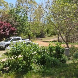 Photo #66 of 4183 TYE RIVER Road, Amherst, VA 14.3 acres