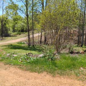 Photo #67 of 4183 TYE RIVER Road, Amherst, VA 14.3 acres