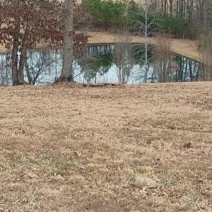 Photo #3 of 4183 TYE RIVER Road, Amherst, VA 14.3 acres