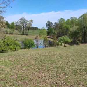 Photo #66 of 4183 TYE RIVER Road, Amherst, VA 14.3 acres
