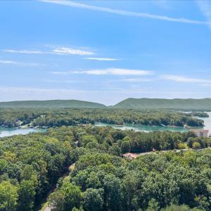 Photo #60 of 1054 Barrow Hills Drive, Huddleston, VA 0.2 acres