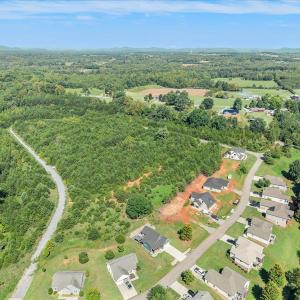 Photo #50 of 1054 Barrow Hills Drive, Huddleston, VA 0.2 acres