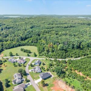 Photo #43 of 1054 Barrow Hills Drive, Huddleston, VA 0.2 acres