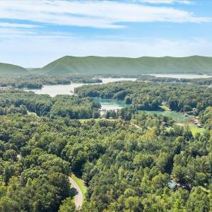 Photo #52 of 1054 Barrow Hills Drive, Huddleston, VA 0.2 acres