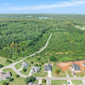 Photo #41 of 1054 Barrow Hills Drive, Huddleston, VA 0.2 acres