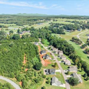 Photo #49 of 1054 Barrow Hills Drive, Huddleston, VA 0.2 acres