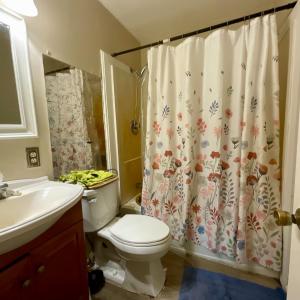 Photo #15 of 171 Shelter Lane, Amherst, VA 6.0 acres