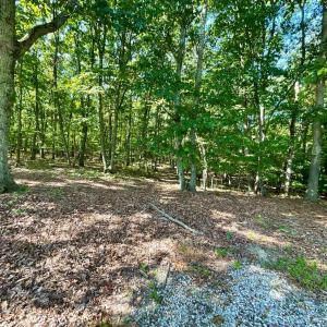 Photo #29 of 171 Shelter Lane, Amherst, VA 6.0 acres