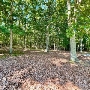 Photo #32 of 171 Shelter Lane, Amherst, VA 6.0 acres