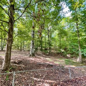 Photo #28 of 171 Shelter Lane, Amherst, VA 6.0 acres