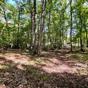 Photo #30 of 171 Shelter Lane, Amherst, VA 6.0 acres