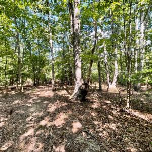 Photo #31 of 171 Shelter Lane, Amherst, VA 6.0 acres