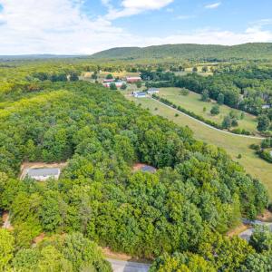 Photo #41 of 1523 Moccasin Path Trail, Huddleston, VA 8.0 acres