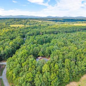 Photo #40 of 1523 Moccasin Path Trail, Huddleston, VA 8.0 acres
