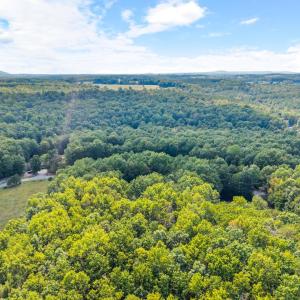 Photo #44 of 1523 Moccasin Path Trail, Huddleston, VA 8.0 acres