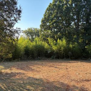 Photo #10 of 336 Prince Street, Lynchburg, VA 13.6 acres