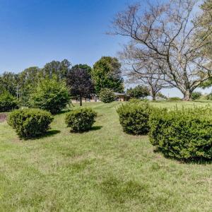 Photo #74 of 147 Freshwater Cove Lane, Lovingston, VA 3.4 acres