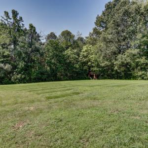 Photo #57 of 147 Freshwater Cove Lane, Lovingston, VA 3.4 acres