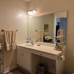 Hall/Primary bath sink