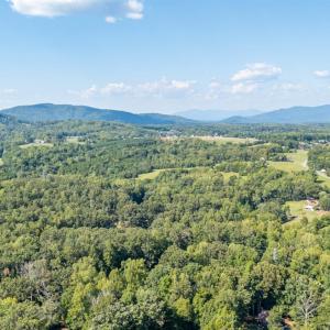 Photo #53 of 101 Franklin Place, Lynchburg, VA 0.8 acres