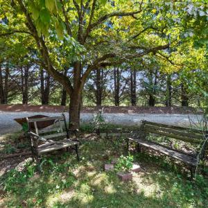 Photo #89 of 2668 West Perch Rd., Monroe, VA 9.4 acres