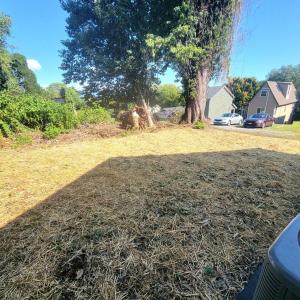 Photo #11 of 1005 4th Street, Lynchburg, VA 0.1 acres