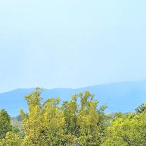 Photo #12 of 1005 4th Street, Lynchburg, VA 0.1 acres