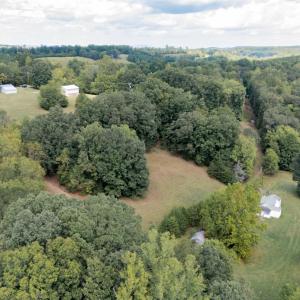 Photo #69 of 1460 Masons Mill Road, Evington, VA 24.1 acres