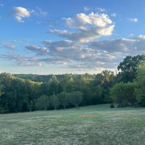 Photo #43 of 1460 Masons Mill Road, Evington, VA 24.1 acres