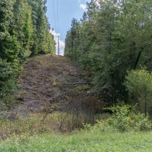 Photo #75 of 1460 Masons Mill Road, Evington, VA 24.1 acres