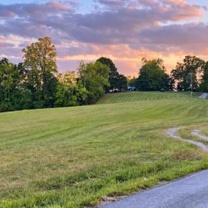 Photo #4 of 1460 Masons Mill Road, Evington, VA 24.1 acres